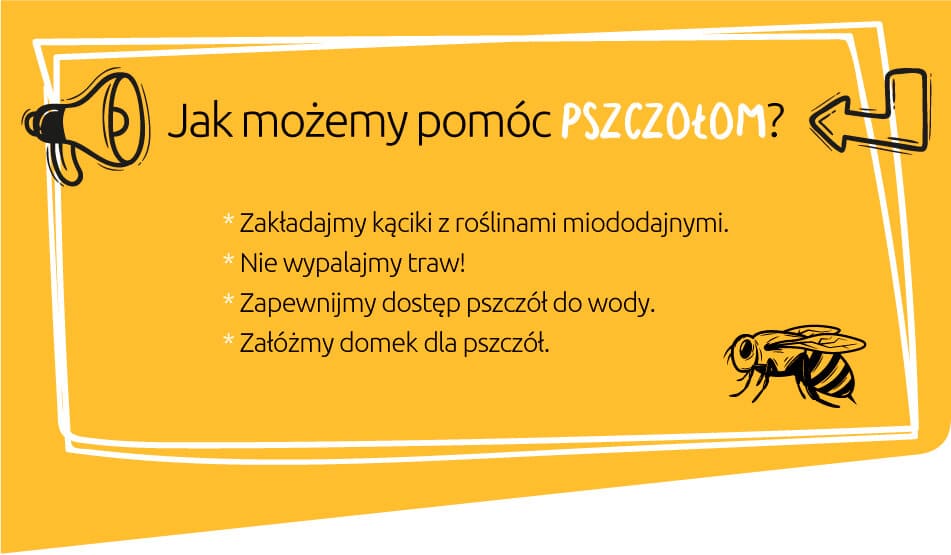 pszcz-6.jpg